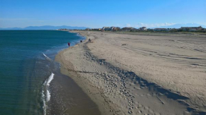 Leucate